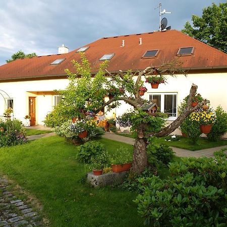 Ubytování Poustka Františkovy Lázně Exteriér fotografie